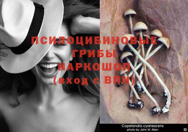 героин Лиски