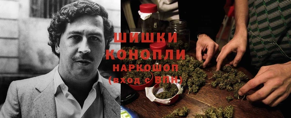 спайс Тавда