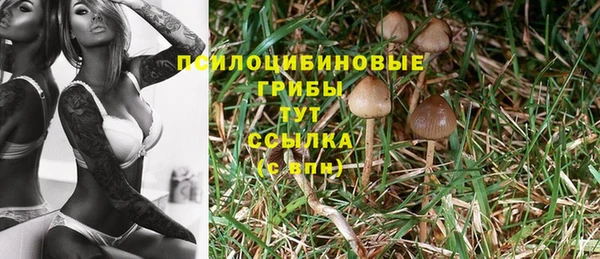 мдпв Лихославль
