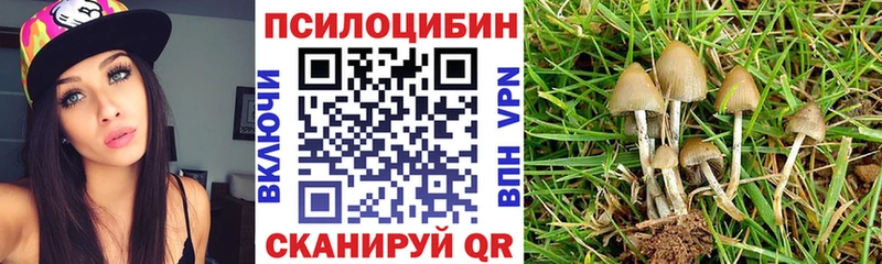 Псилоцибиновые грибы Magic Shrooms даркнет сайт Петрозаводск