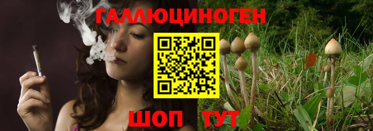 Псилоцибиновые грибы ЛСД  Вход с VPN  Петрозаводск 